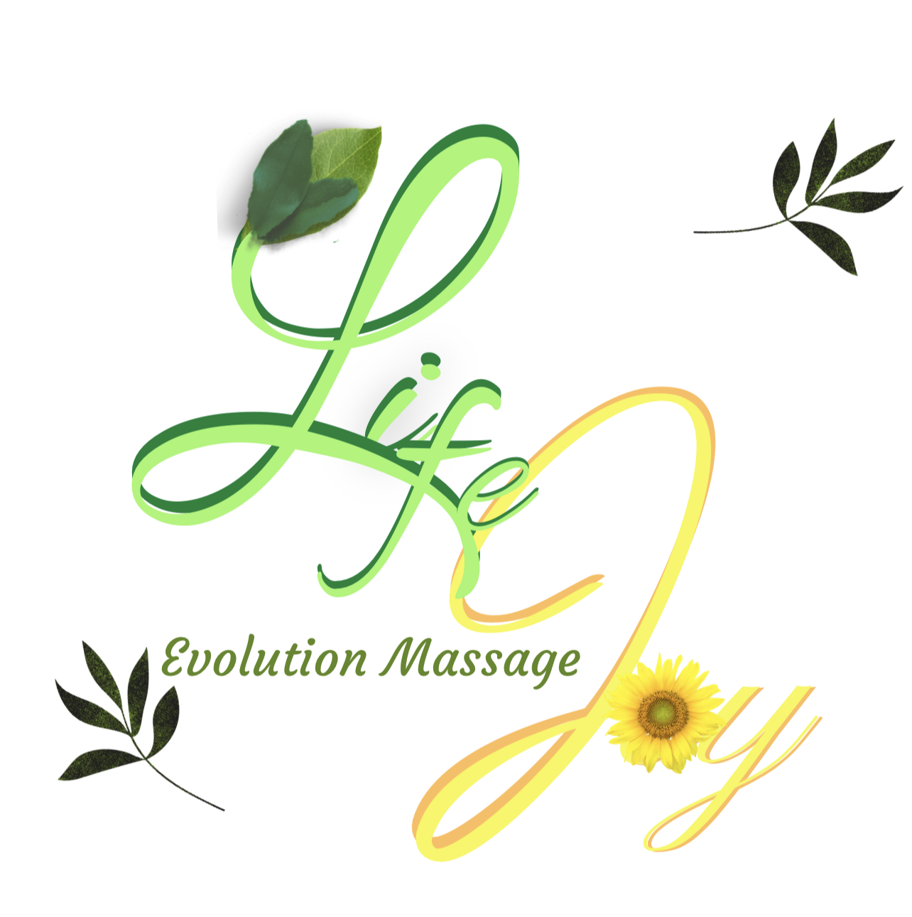 LIFEJOY EVOLUTION MASSAGE